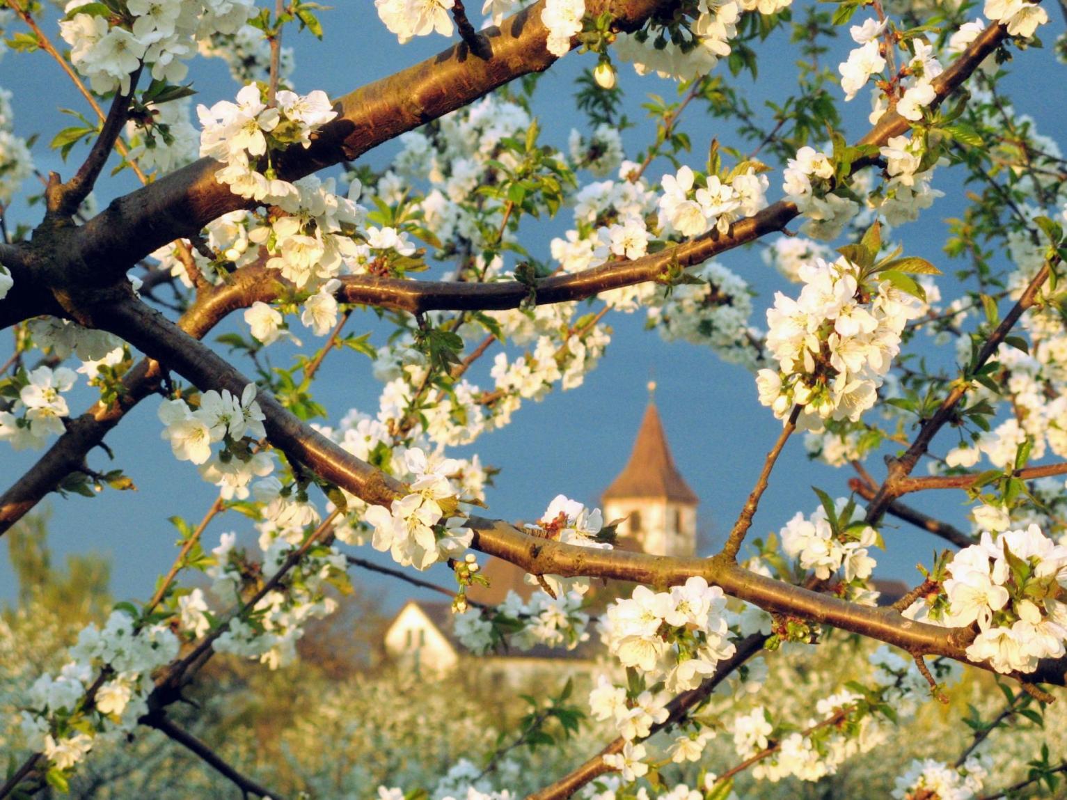 Kirche von Königschaffhausen